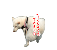 839841230
