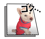 839841232