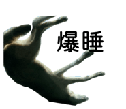 839841293