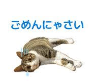 839841586