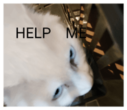 839842425