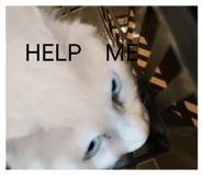 839842425