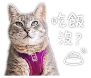 839843090