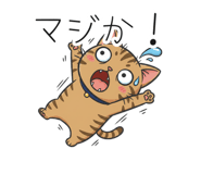 839843206