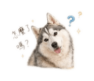 839843473