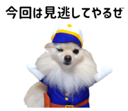 839844344