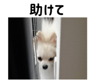 839844362