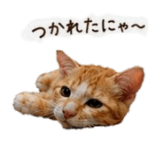 839844670