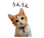 839844686