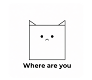 839844807