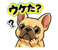 839844954