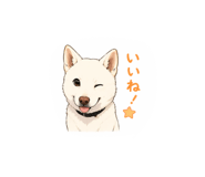 839845022