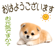 839845081