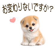 839845082