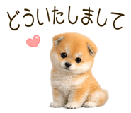 839845115