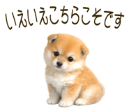 839845116