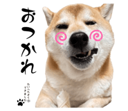 839846234