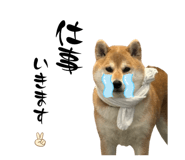 839846236