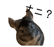 839846491