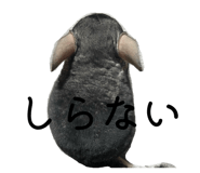 839846495
