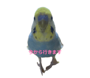 839847718