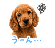 839847817