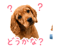 839847834