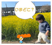 839847957