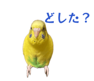 839848007