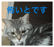 839848189