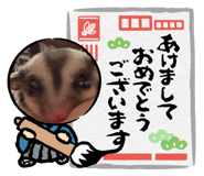 839848446