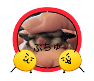 839848639