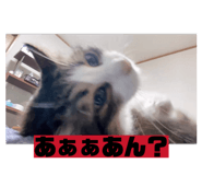 839848879