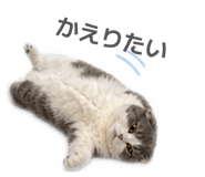 839848979