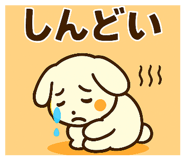 839849637