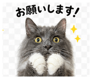 839850670