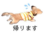 839850964