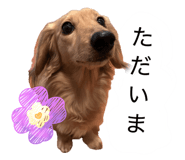 839850966