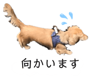 839850968