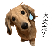 839850976