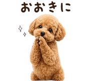 839851251