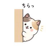 839852916