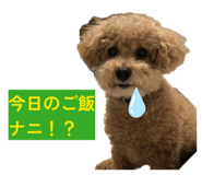 839853464