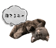 839853497