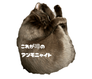 839853500