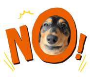 839853694