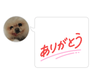 839854097