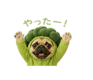 839854466