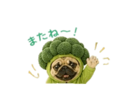 839854480