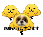 839854875